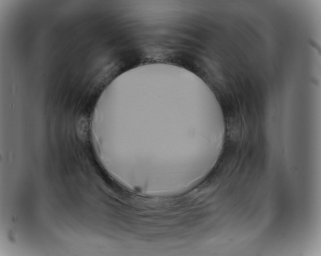 X0000097500036200803071812