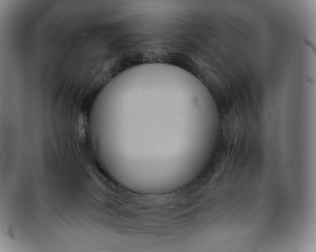 X0000097500038200803071812