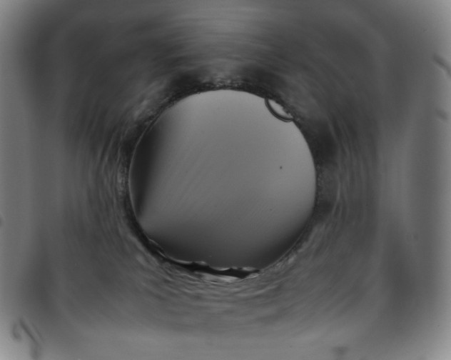 X0000097500039200803071812