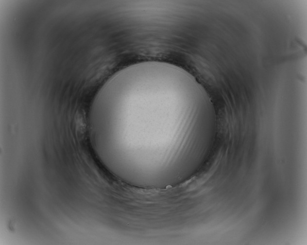 X0000097500040200803071812