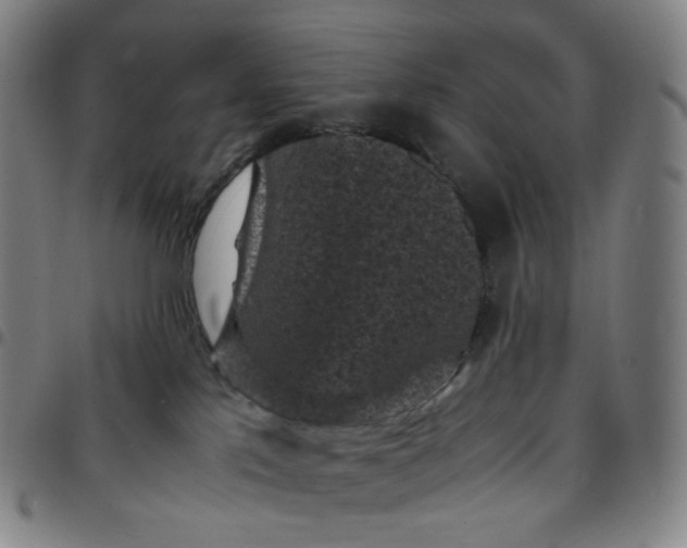 X0000097500041200803071812