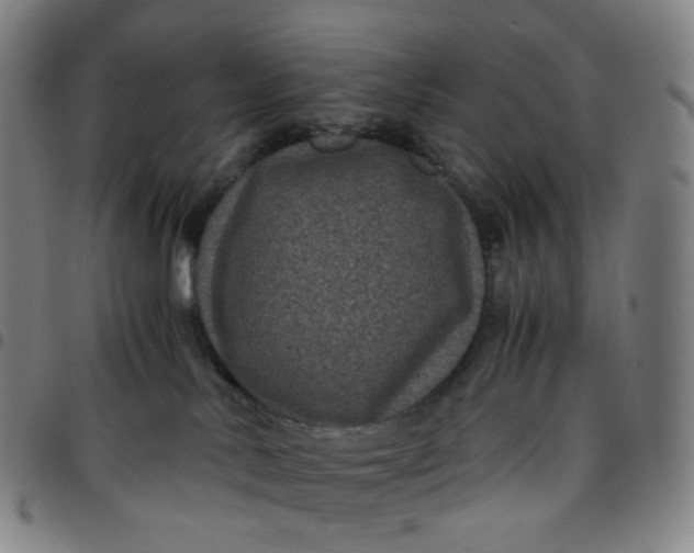 X0000097500042200803071812