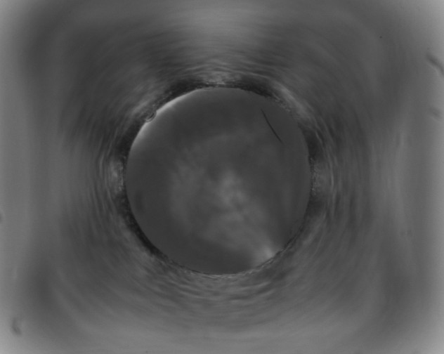 X0000097500043200803071812