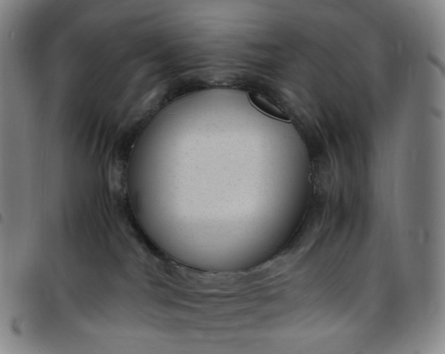 X0000097500044200803071812