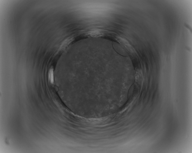 X0000097500046200803071812