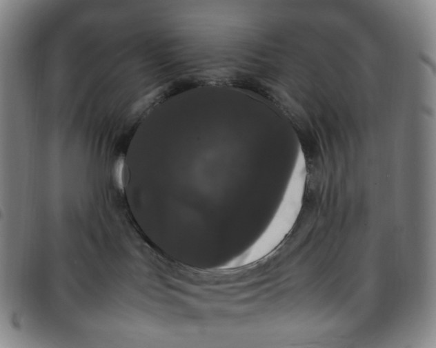 X0000097500047200803071812