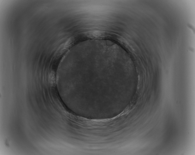 X0000097500048200803071812