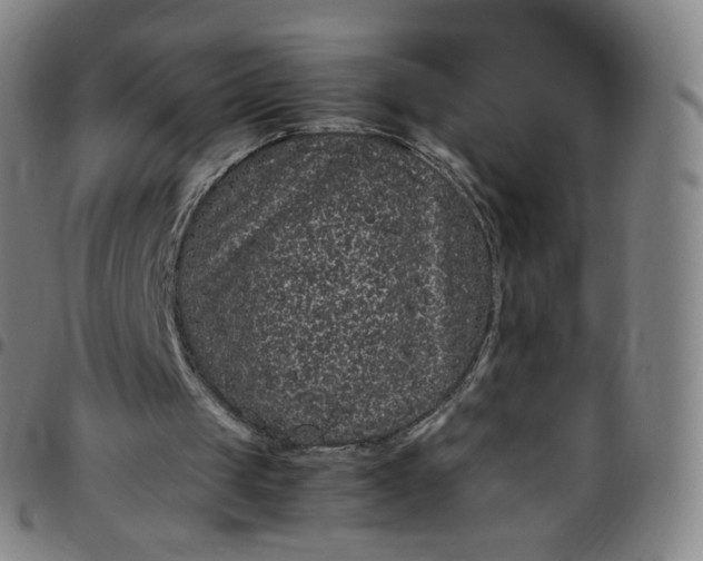 X0000097500049200803071811