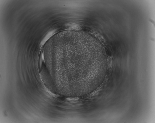 X0000097500051200803071811