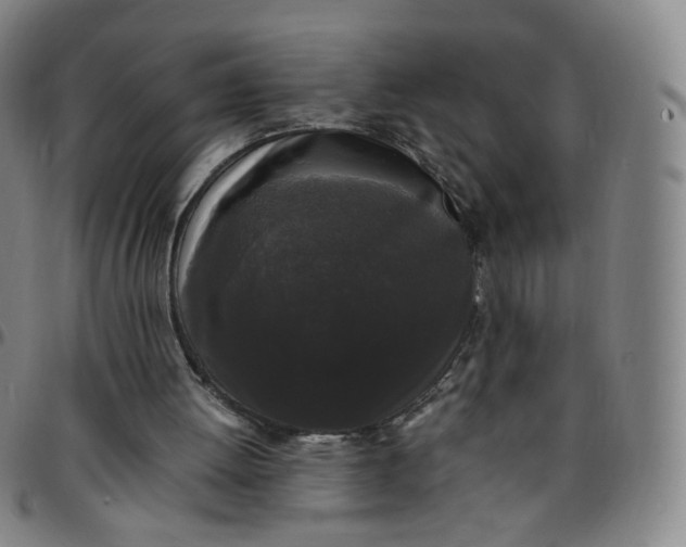 X0000097500052200803071811