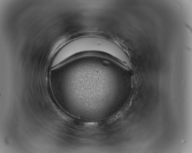 X0000097500053200803071811