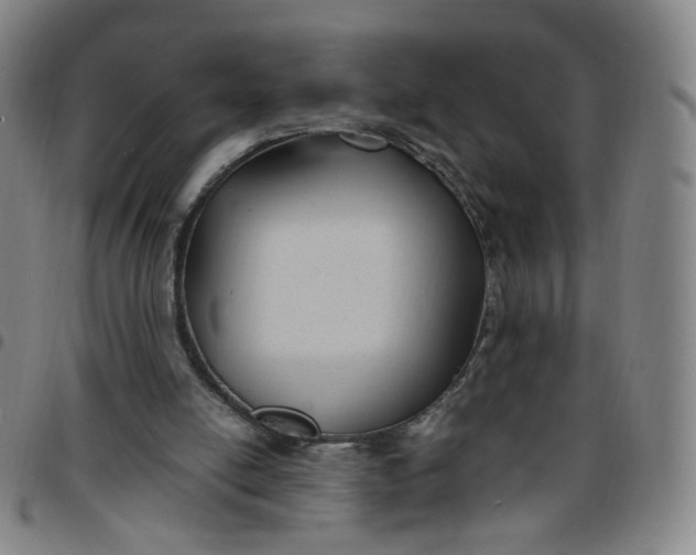 X0000097500054200803071811