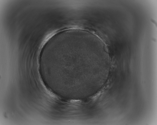 X0000097500055200803071811