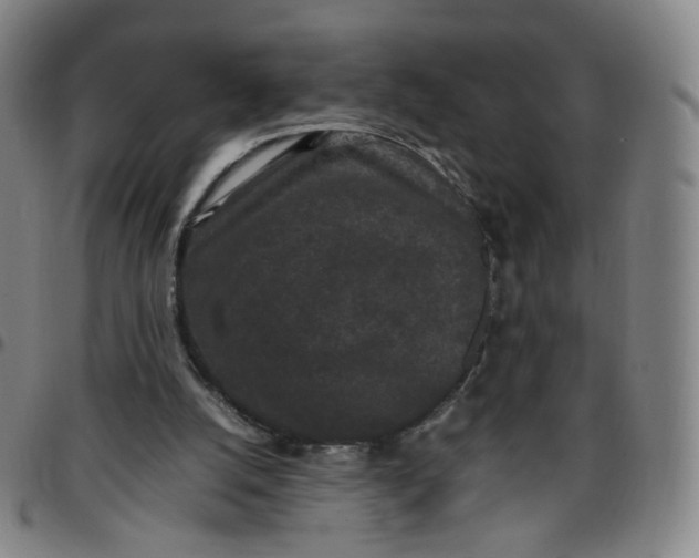 X0000097500056200803071811