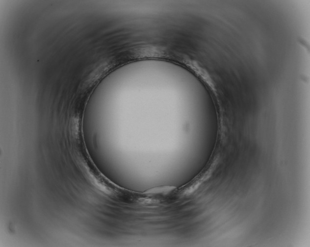 X0000097500057200803071811