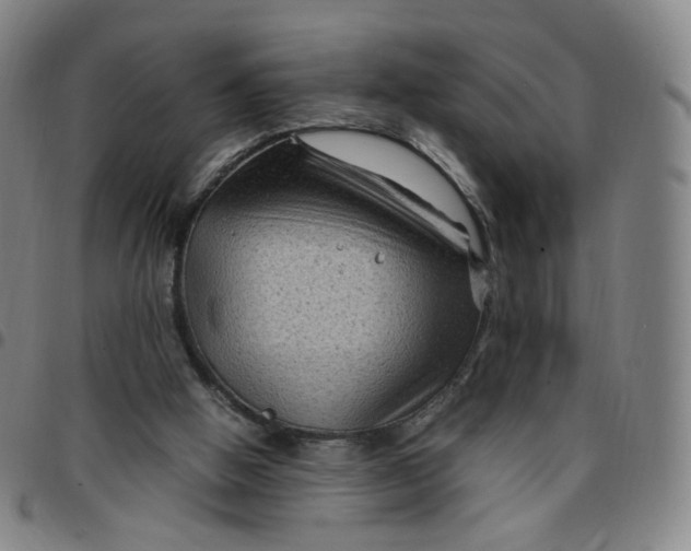 X0000097500058200803071811