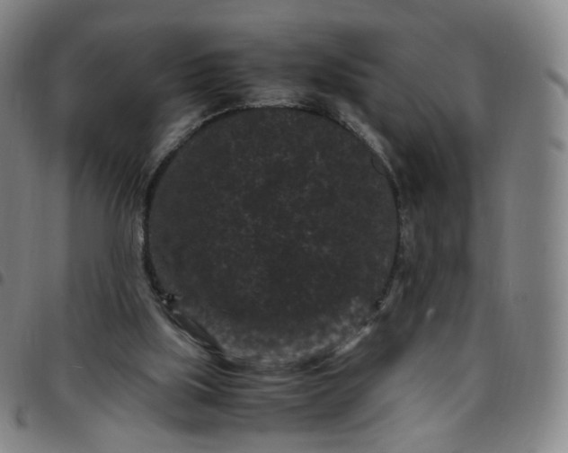 X0000097500059200803071811