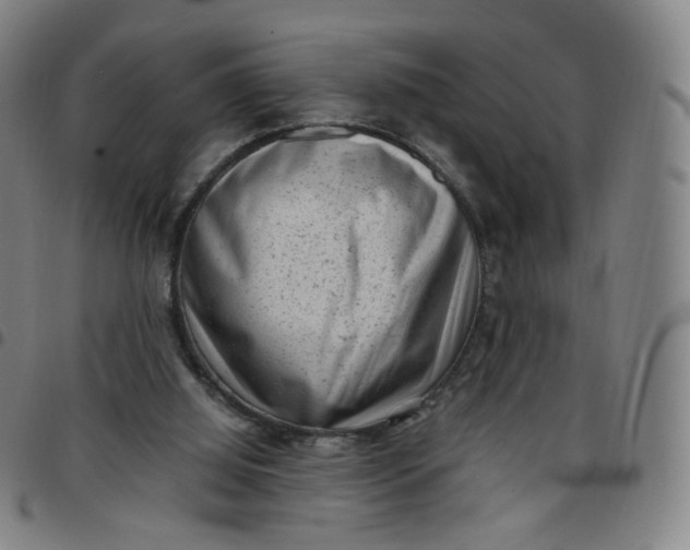 X0000097500060200803071811