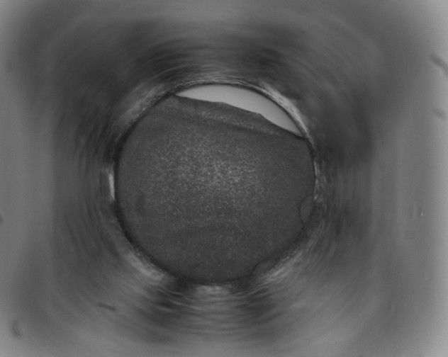 X0000097500061200803071811