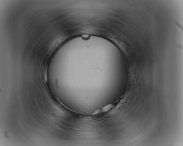 X0000097500062200803071811