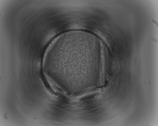 X0000097500063200803071811