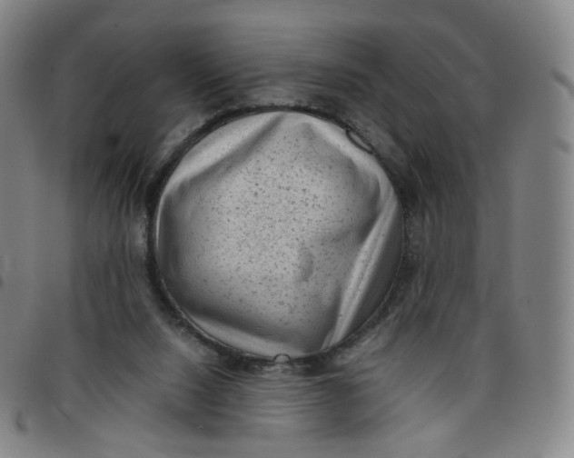 X0000097500064200803071811