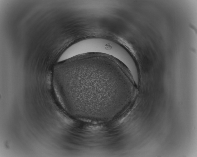 X0000097500065200803071811