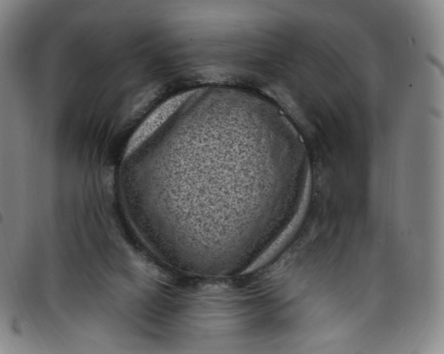 X0000097500066200803071811