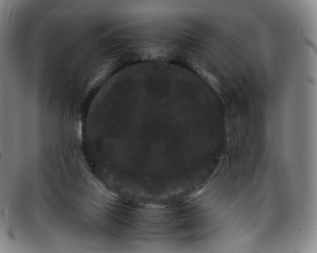 X0000097500067200803071811