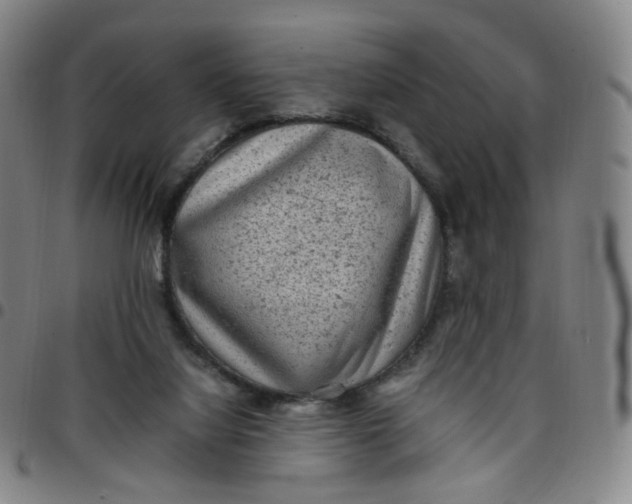 X0000097500068200803071811