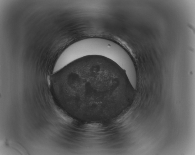 X0000097500069200803071811