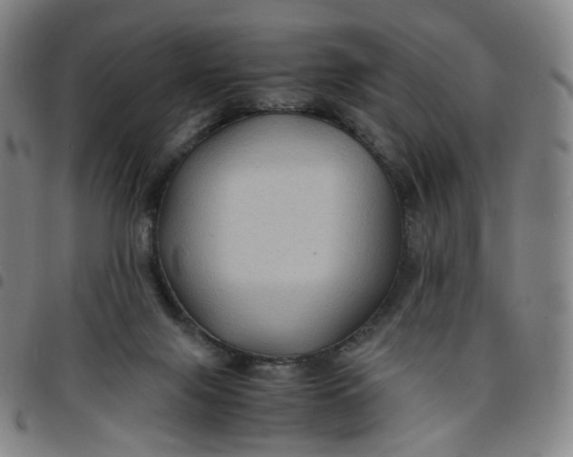 X0000097500071200803071811