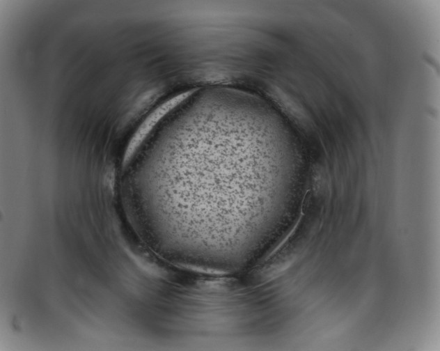 X0000097500072200803071811