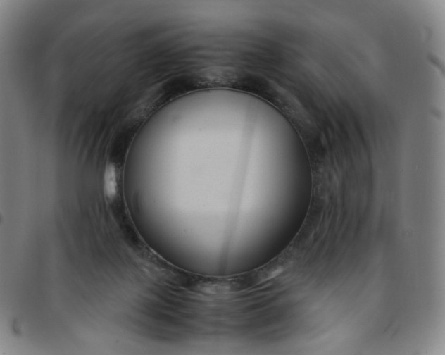 X0000097500075200803071811