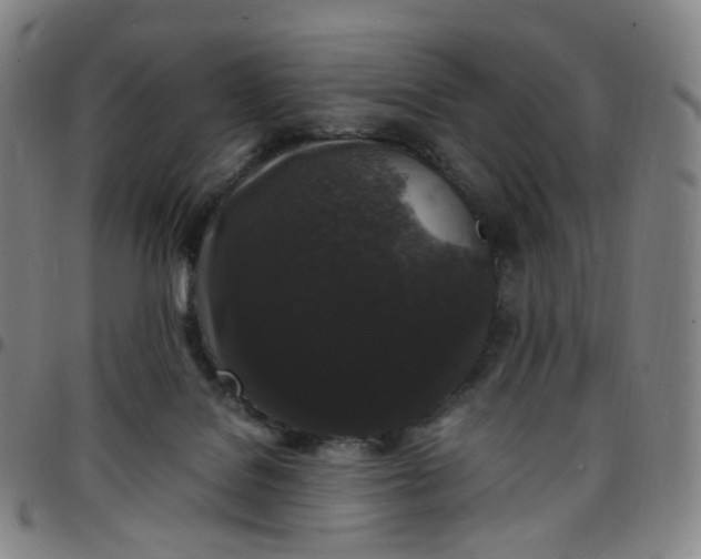 X0000097500076200803071811