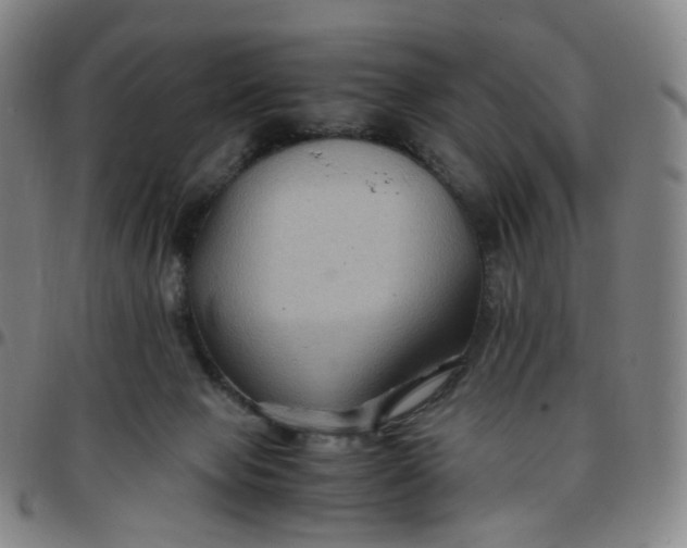 X0000097500077200803071811