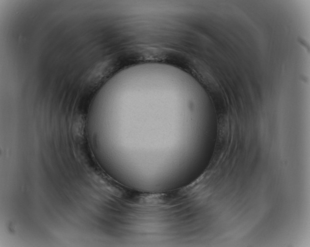 X0000097500078200803071811