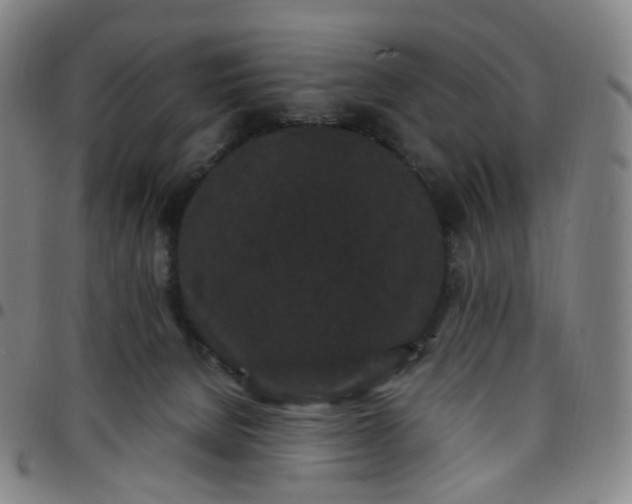 X0000097500080200803071811