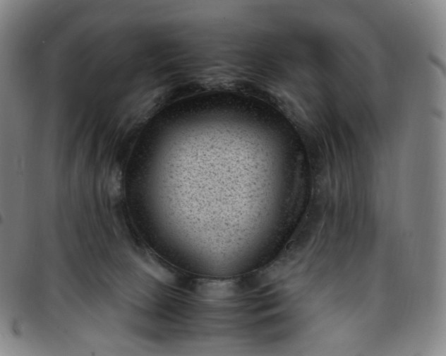 X0000097500081200803071811