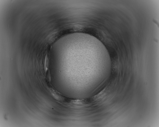 X0000097500082200803071811