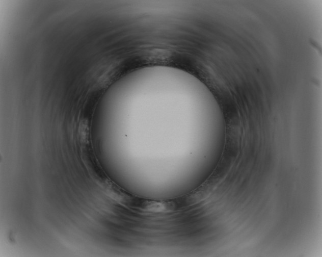 X0000097500083200803071811