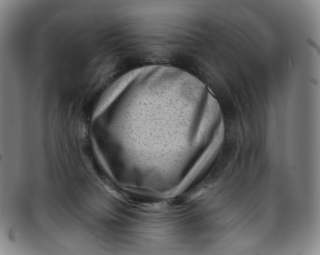 X0000097500084200803071811