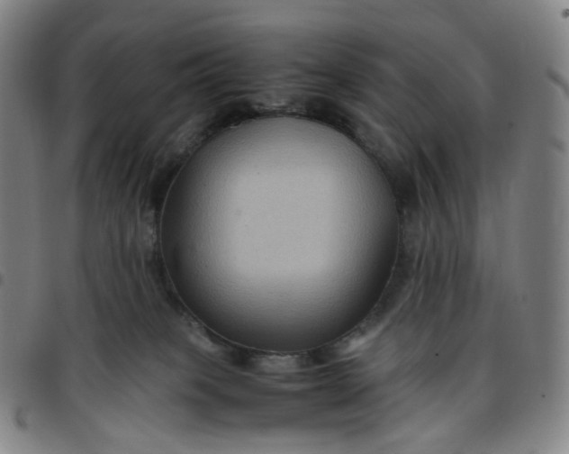 X0000097500085200803071811