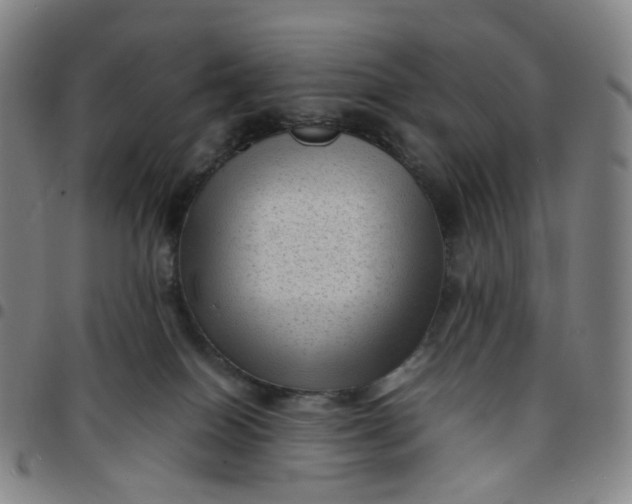 X0000097500086200803071812