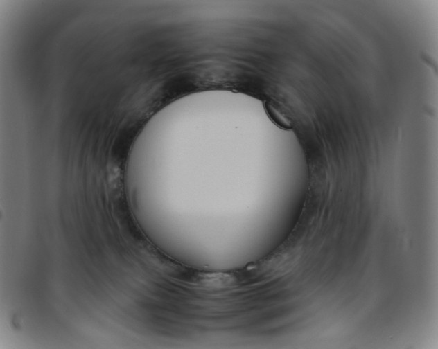 X0000097500087200803071812