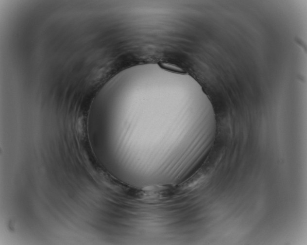 X0000097500088200803071812