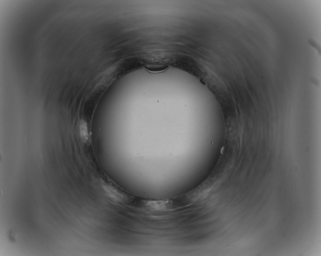 X0000097500089200803071812