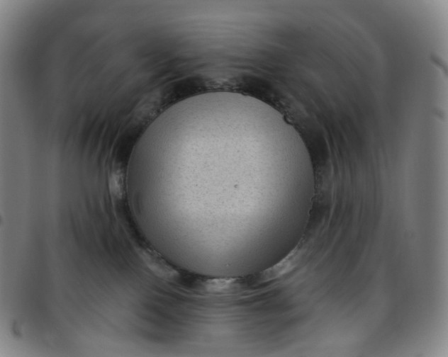 X0000097500090200803071812