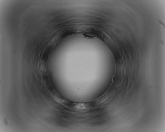 X0000097500091200803071812