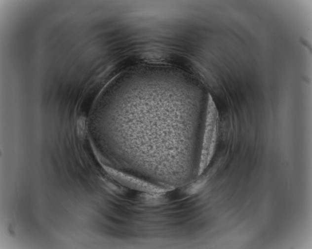 X0000097500093200803071812